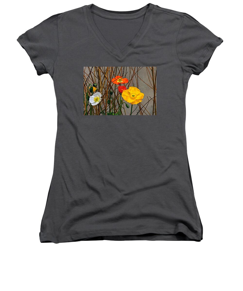 Red Yellow Orange White Poppies Women's V-Neck featuring the photograph Colorful Poppies And White Willow Stems by Byron Varvarigos