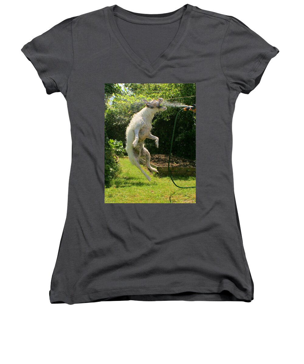 Dog Women's V-Neck featuring the digital art Cool dog by Ron Harpham