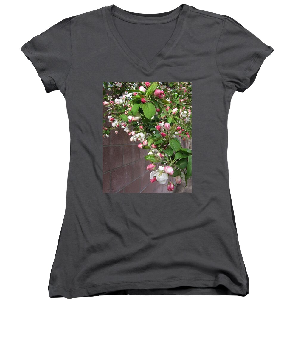 Crabapple Blossoms Women's V-Neck featuring the photograph Crabapple Blossoms and Wall by Donald S Hall