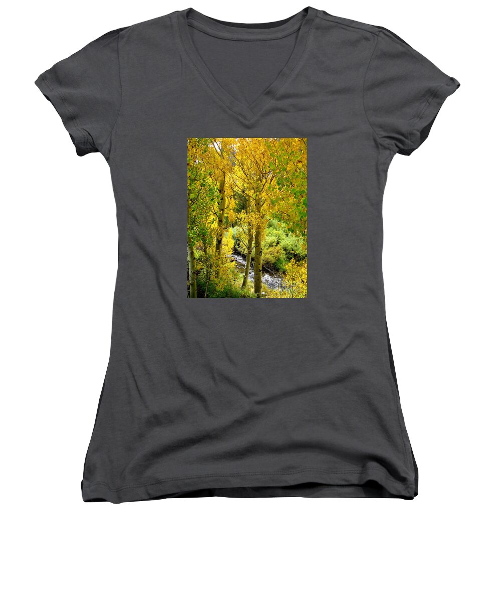 Autumn Women's V-Neck featuring the photograph Creekside by Marilyn Diaz