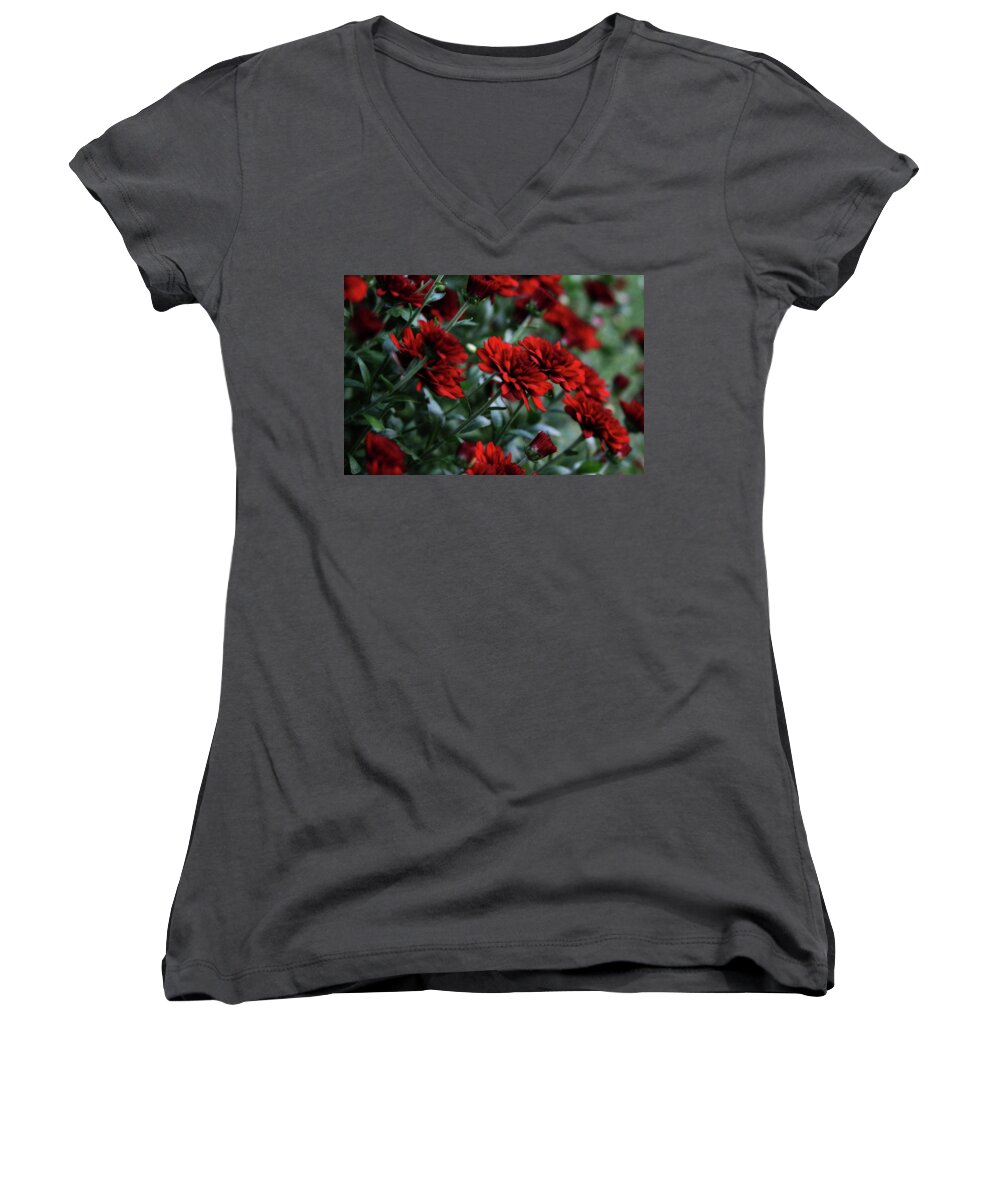 Crimson Women's V-Neck featuring the photograph Crimson and Clover by Shelley Neff