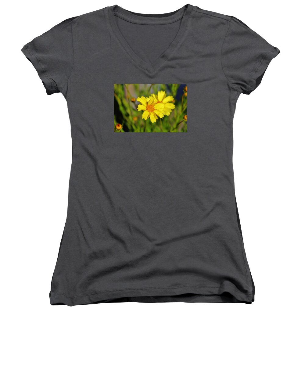 Daisy Women's V-Neck featuring the photograph Crown Daisies by Cynthia Guinn