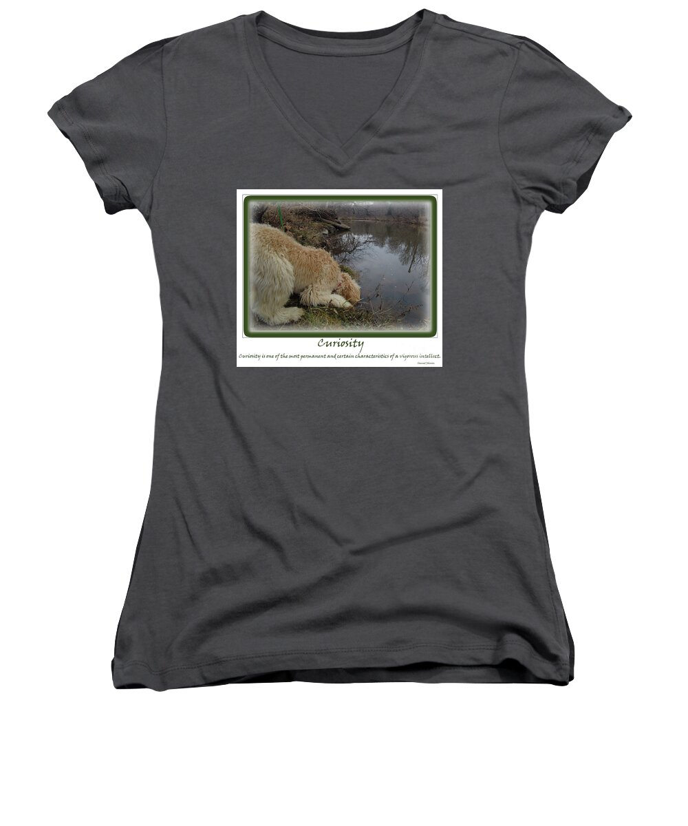 Multi- Generational Labradoodle Women's V-Neck featuring the photograph Curiosity of a Puppy by Sandra Clark