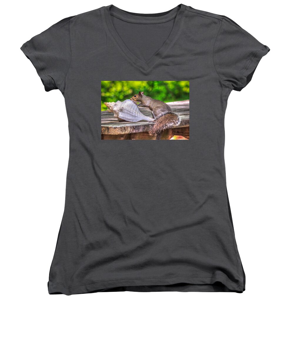 Squirrel Women's V-Neck featuring the photograph Curious Squirrel by Traveler's Pics