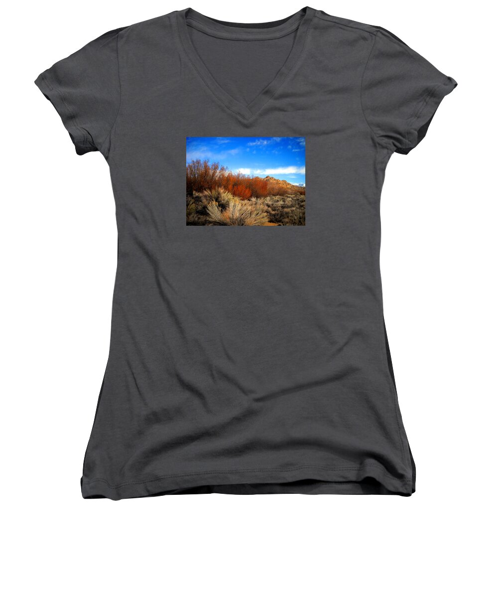 Desert Women's V-Neck featuring the photograph Desert Colors by Marilyn Diaz