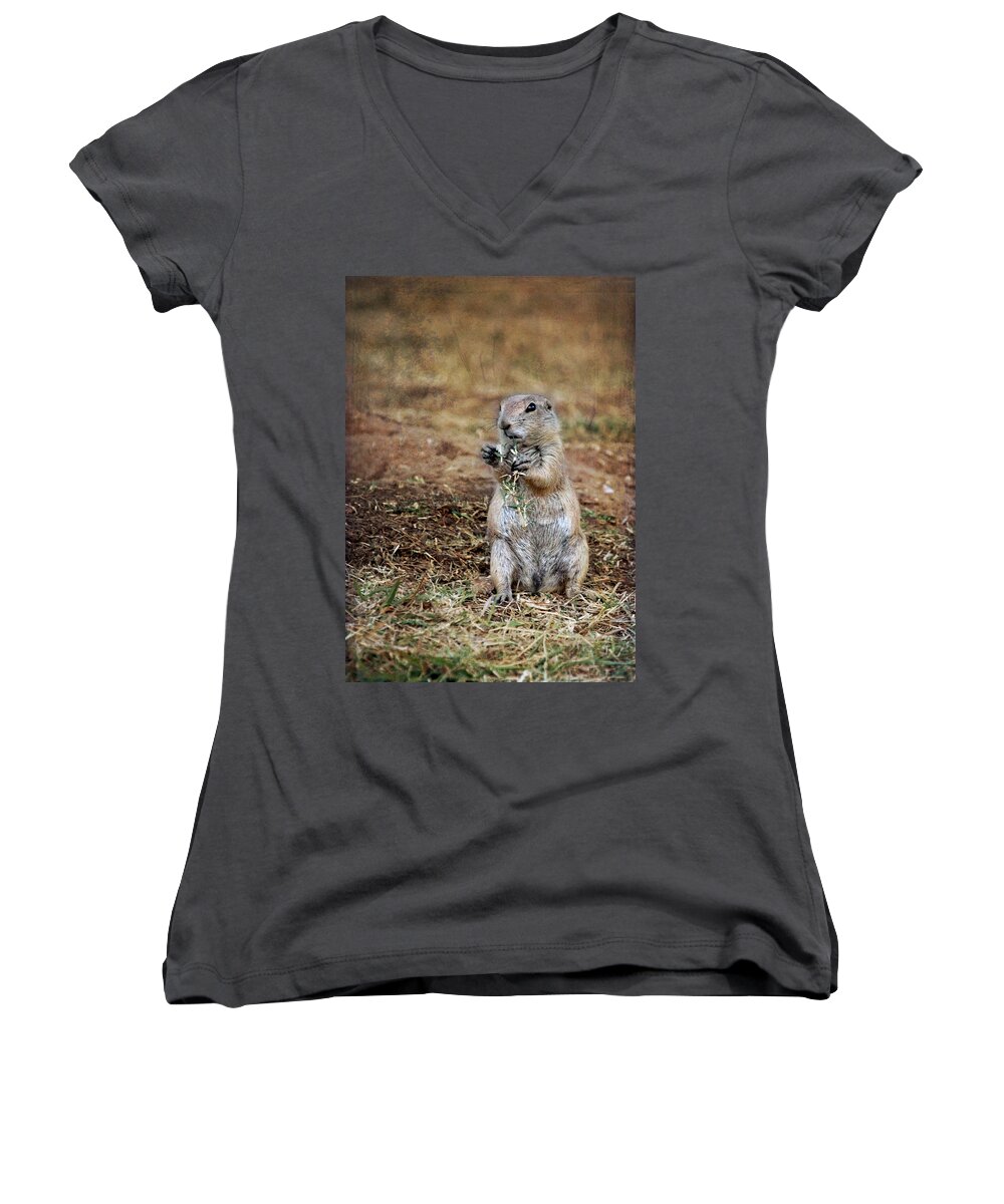 Doggie Snack Women's V-Neck featuring the photograph Doggie Snack by Jemmy Archer