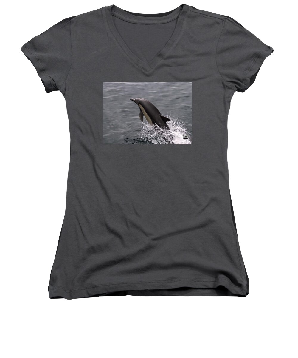 Dolphin Women's V-Neck featuring the photograph Dolphin Greetings by Denise Dube