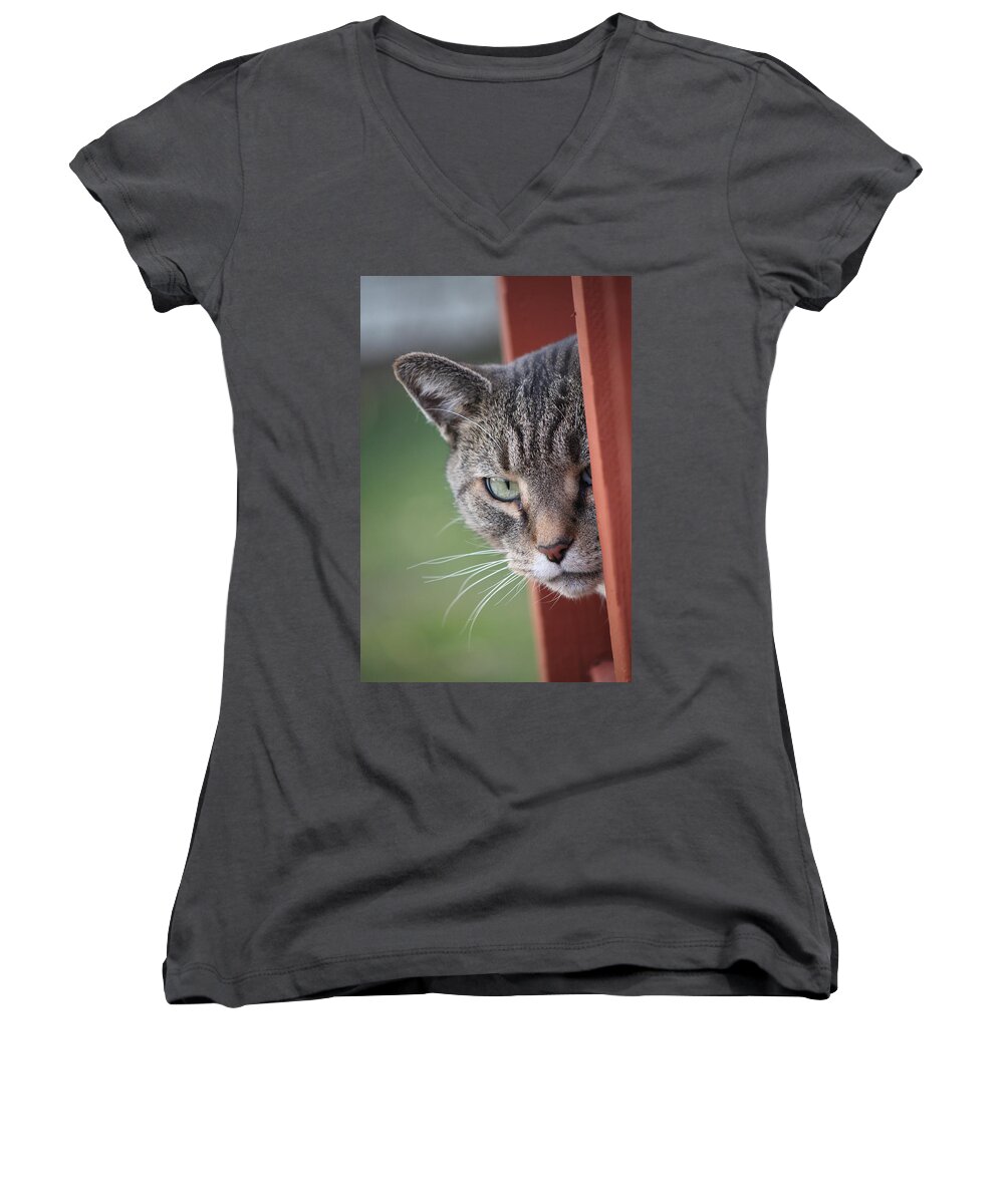 Portrait Women's V-Neck featuring the photograph Don't mess with Gilbert by Jennifer E Doll