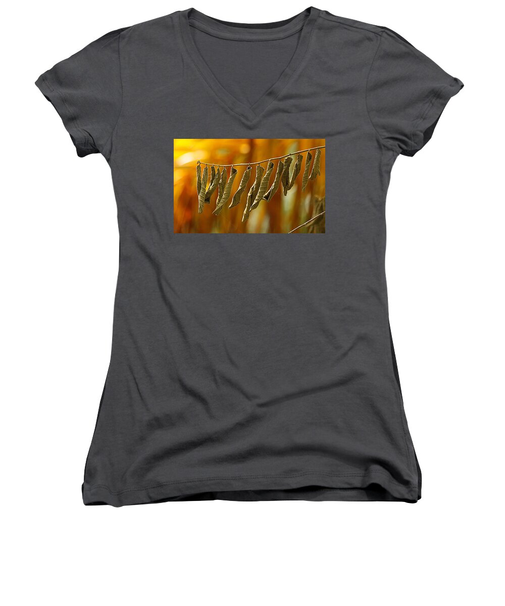 Nature Women's V-Neck featuring the photograph Dried Dreams by Dart Humeston