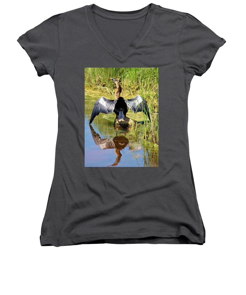 Anhinga Women's V-Neck featuring the photograph Drying Her Wings by Cynthia Guinn