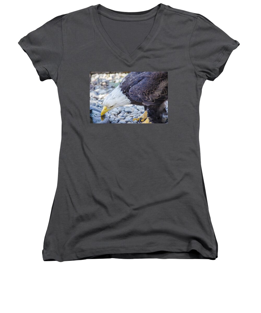 Eagle Women's V-Neck featuring the photograph Eagle by Spencer Hughes