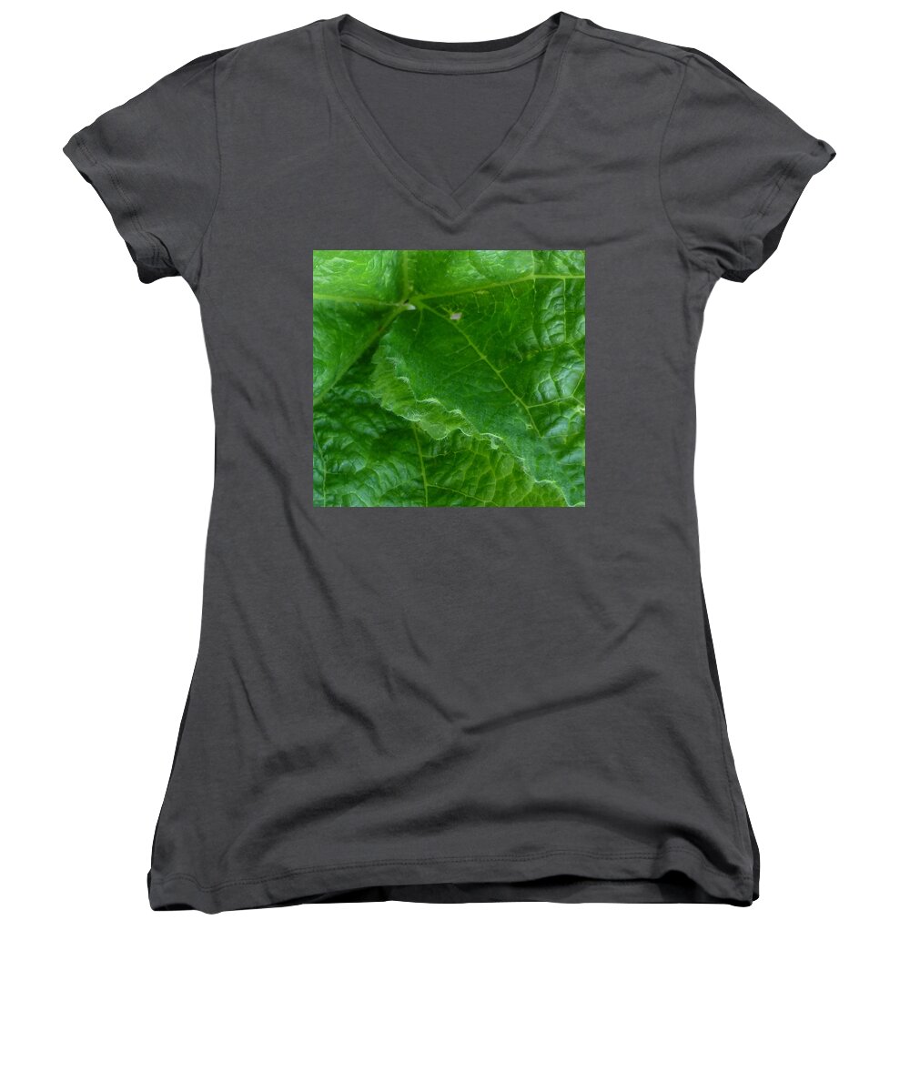 Leaf Women's V-Neck featuring the photograph Edgy by Claudia Goodell