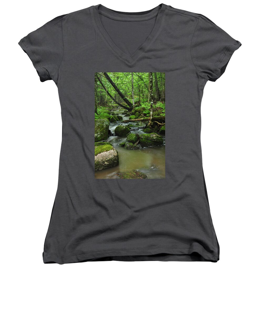 Forest Women's V-Neck featuring the photograph Emerald Forest by Glenn Gordon