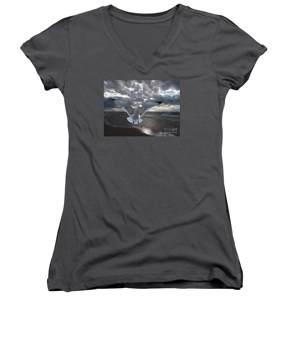 Bird Women's V-Neck featuring the photograph Evening Landing by Ann Horn