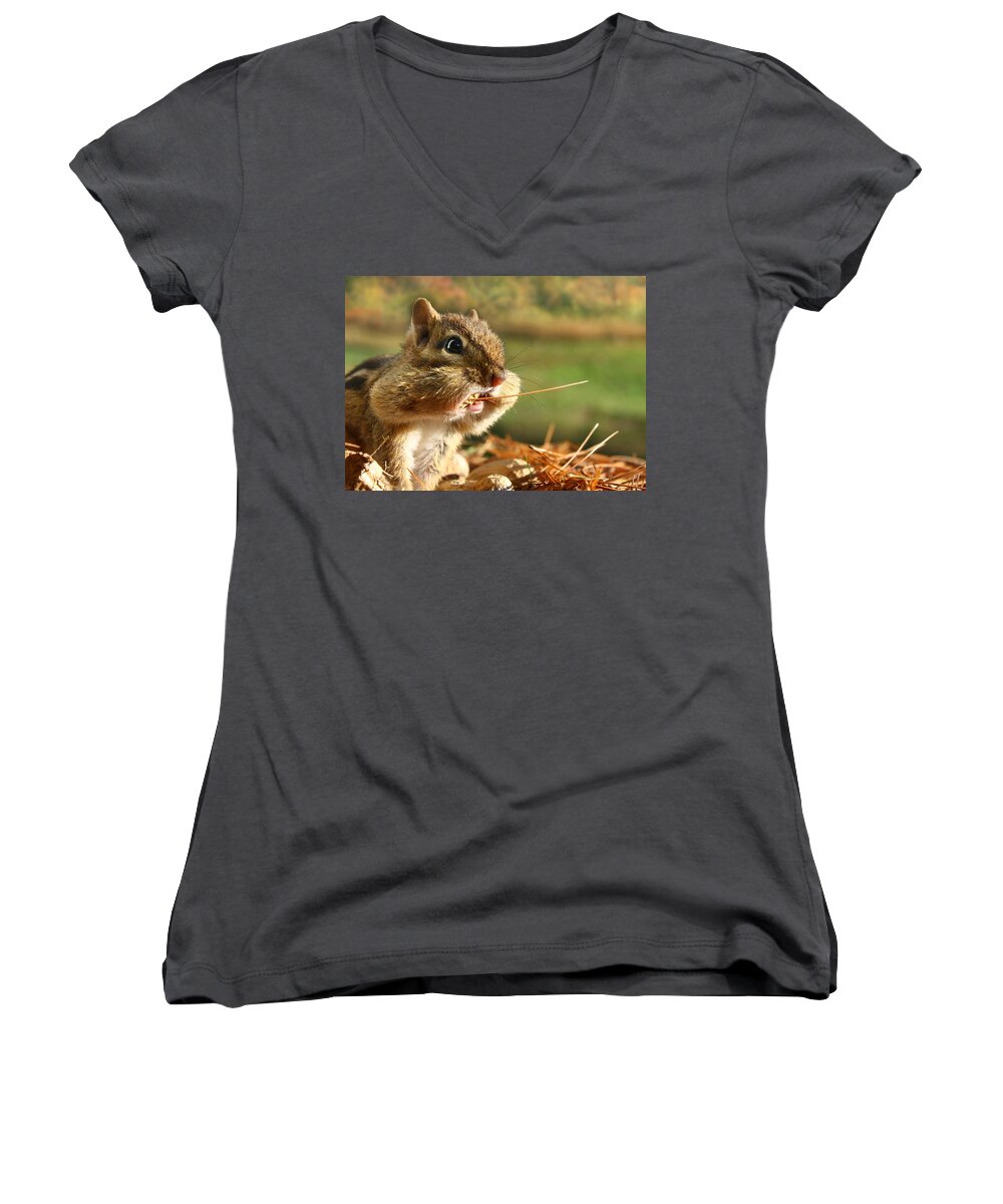 Chipmunk Women's V-Neck featuring the photograph Extra Fiber by Lori Deiter