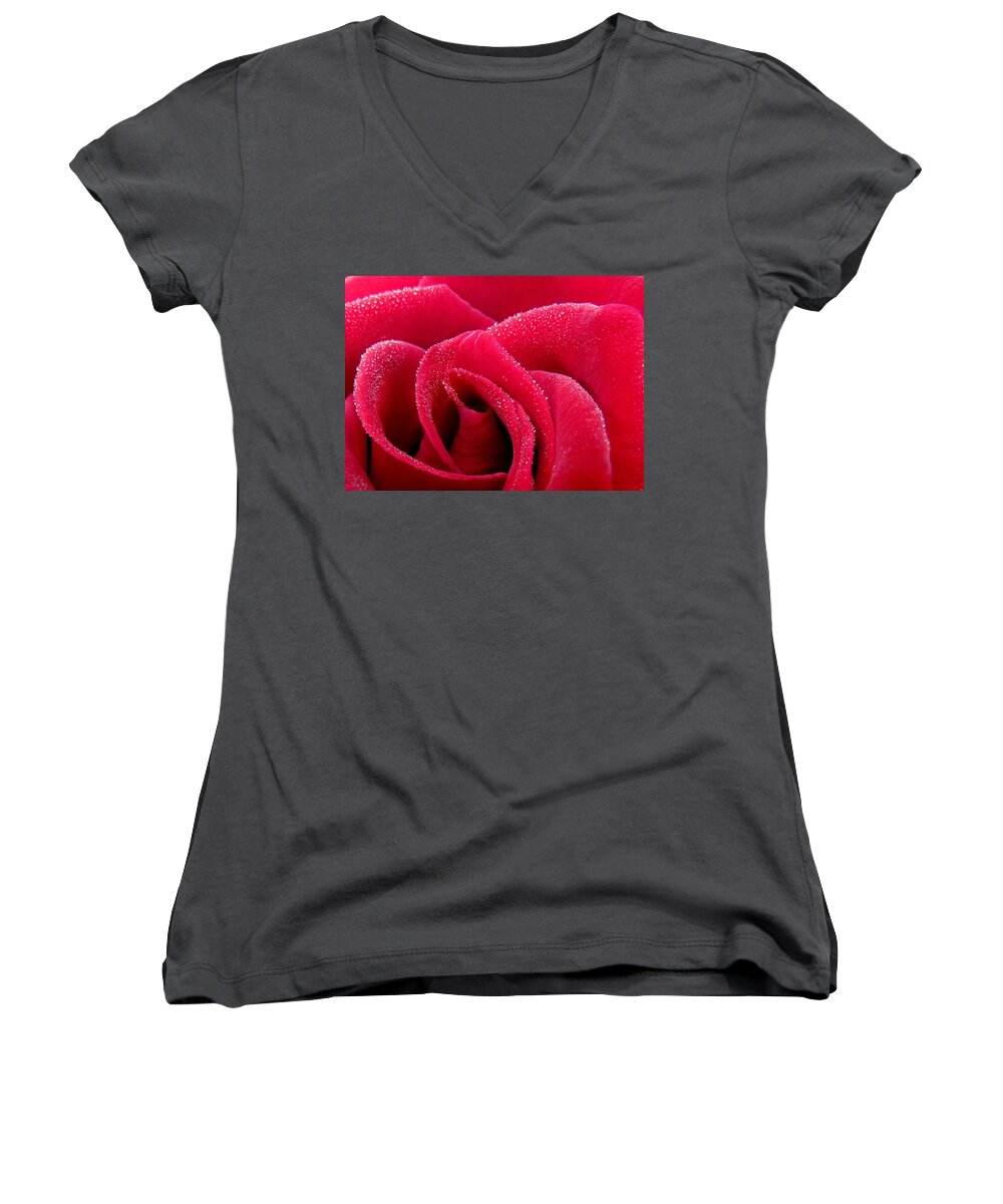 Rose Women's V-Neck featuring the photograph Fairy Dust or Angel Kisses by Lori Lafargue