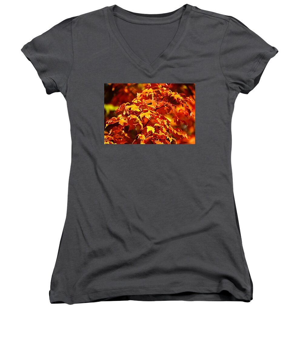 Autumn Women's V-Neck featuring the photograph Fall Foliage Colors 14 by Metro DC Photography