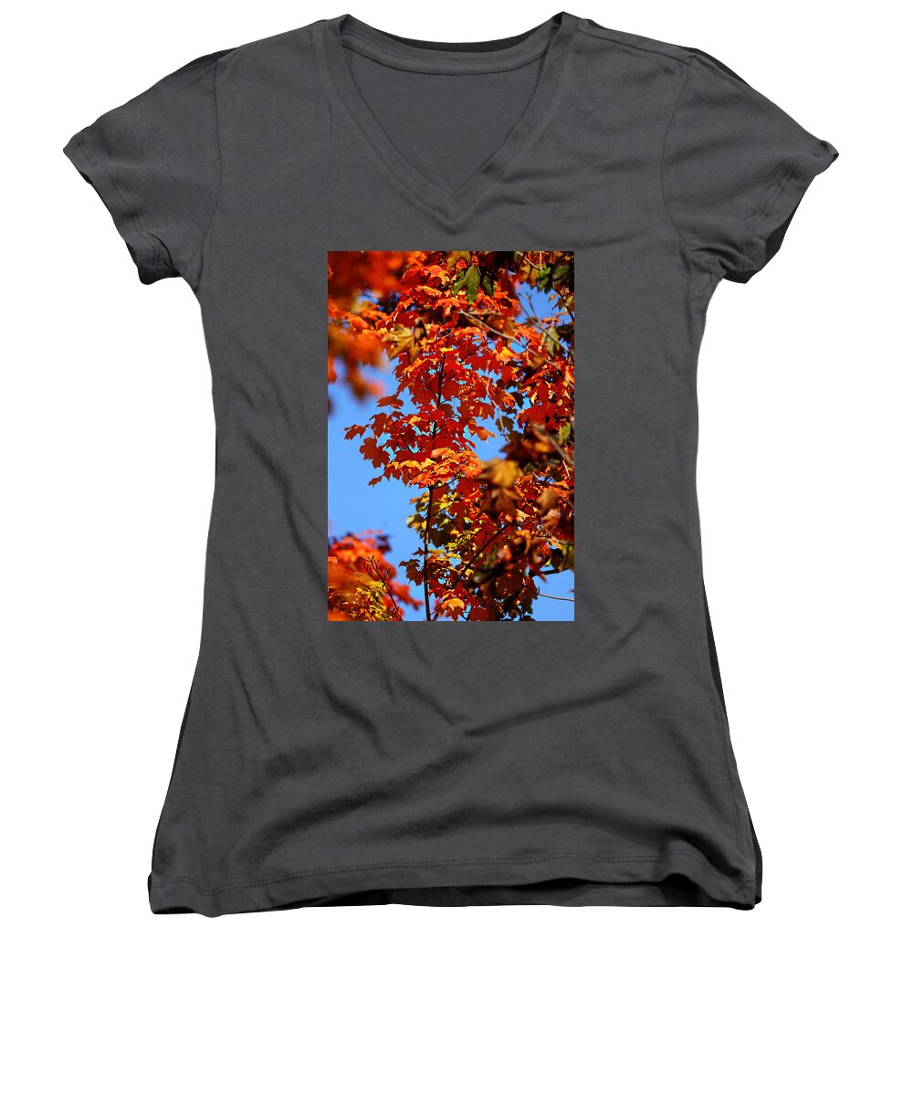 Autumn Women's V-Neck featuring the photograph Fall Foliage Colors 15 by Metro DC Photography