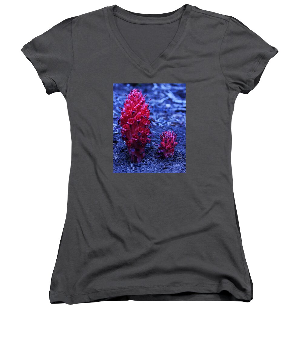 Lake Tahoe Women's V-Neck featuring the photograph Father and Son by Sean Sarsfield