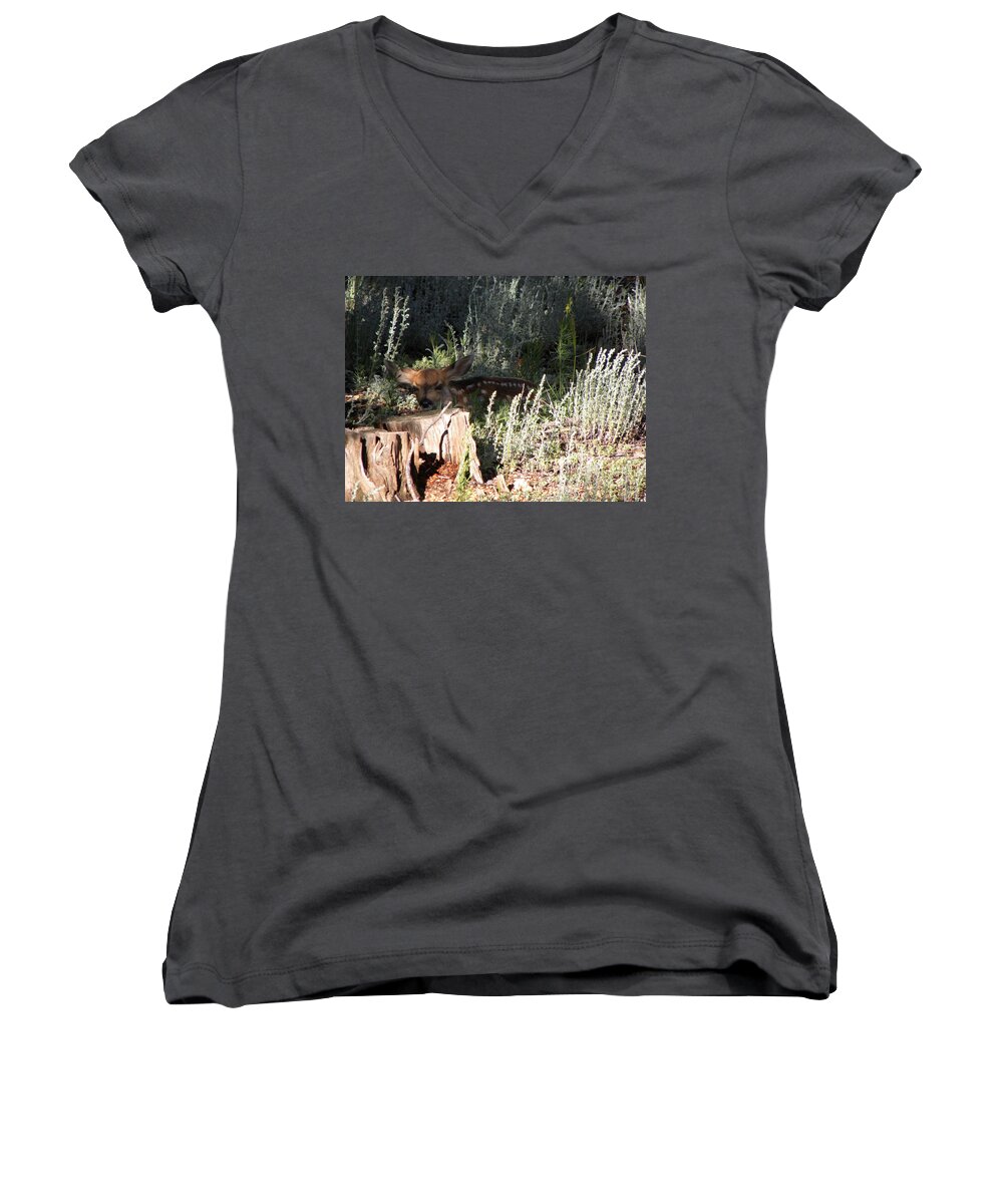 Animal Women's V-Neck featuring the photograph Fawn Front Yard Divide CO by Margarethe Binkley