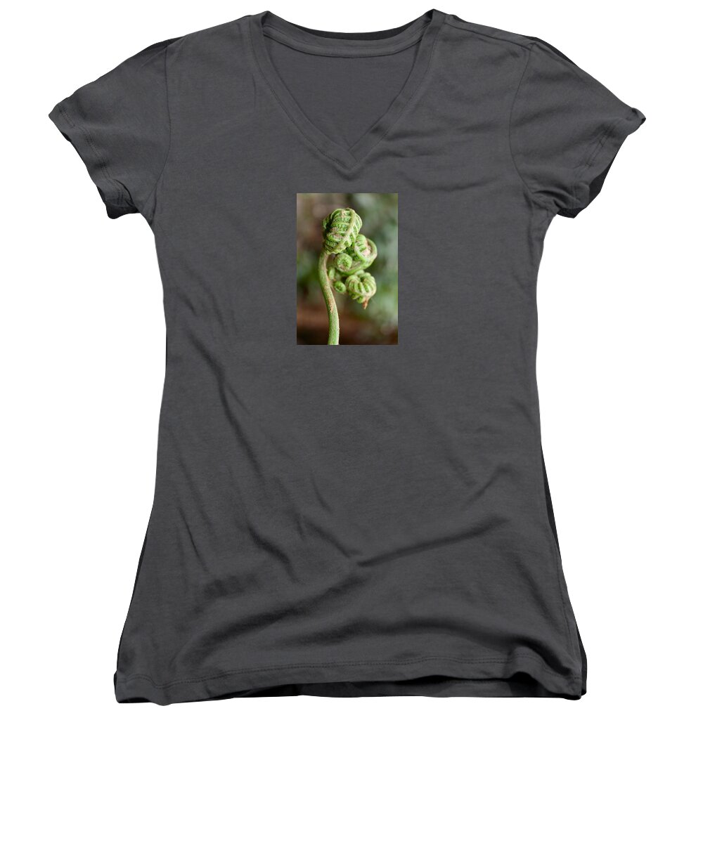 Fern Bud Women's V-Neck featuring the photograph Fern Bud by Venetia Featherstone-Witty