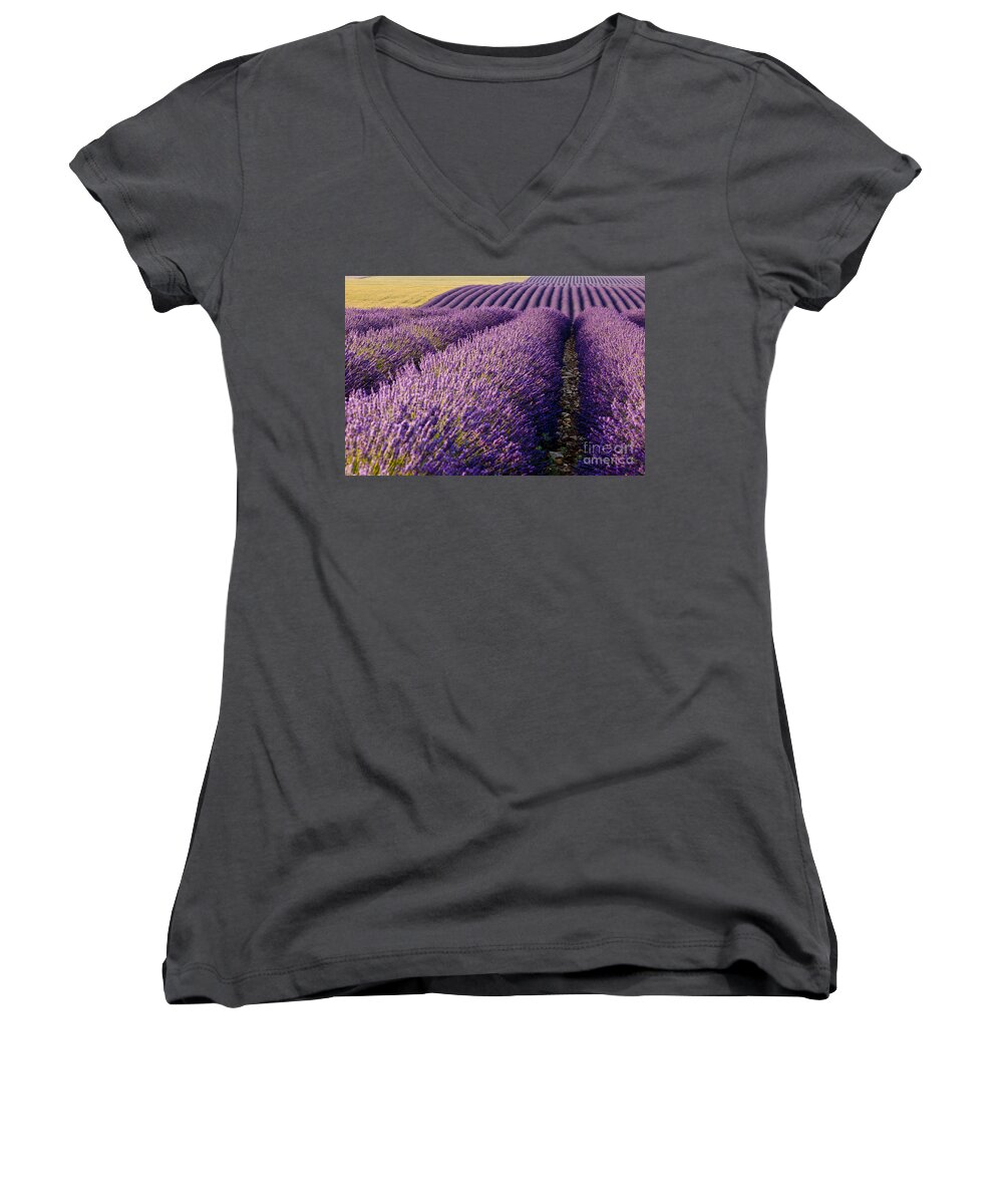 Lavender Women's V-Neck featuring the photograph Fields of Lavender by Brian Jannsen