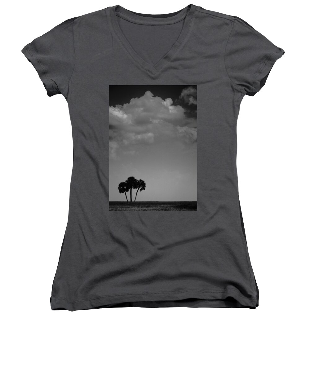 Palm Women's V-Neck featuring the photograph Four Palms by Bradley R Youngberg