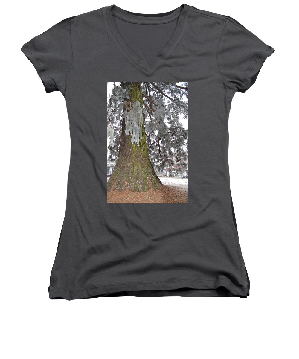 Nature Women's V-Neck featuring the photograph Frost on the leaves by Felicia Tica