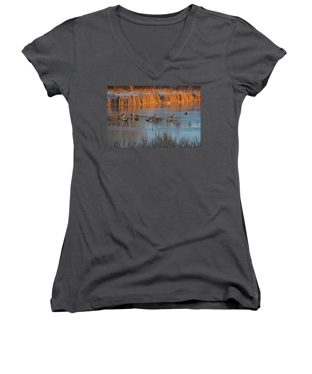 Geese Women's V-Neck featuring the photograph Geese in Wetlands by Tana Reiff