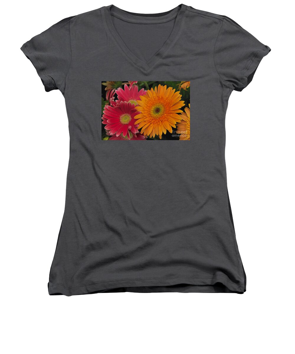 Pink Women's V-Neck featuring the photograph Gerbera by William Norton