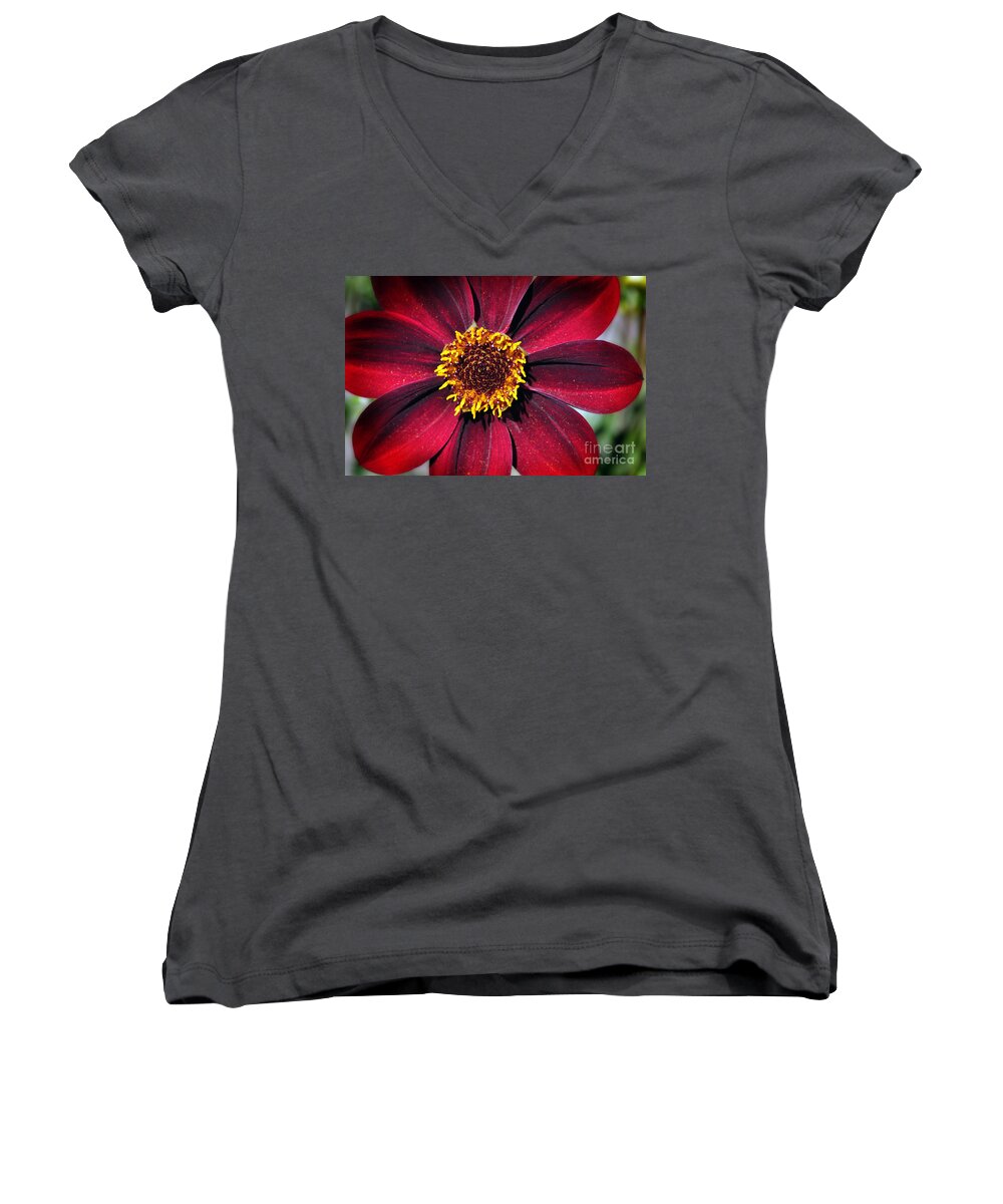 Red Dahlia Women's V-Neck featuring the photograph Gold Dusted Dahlia by Tikvah's Hope