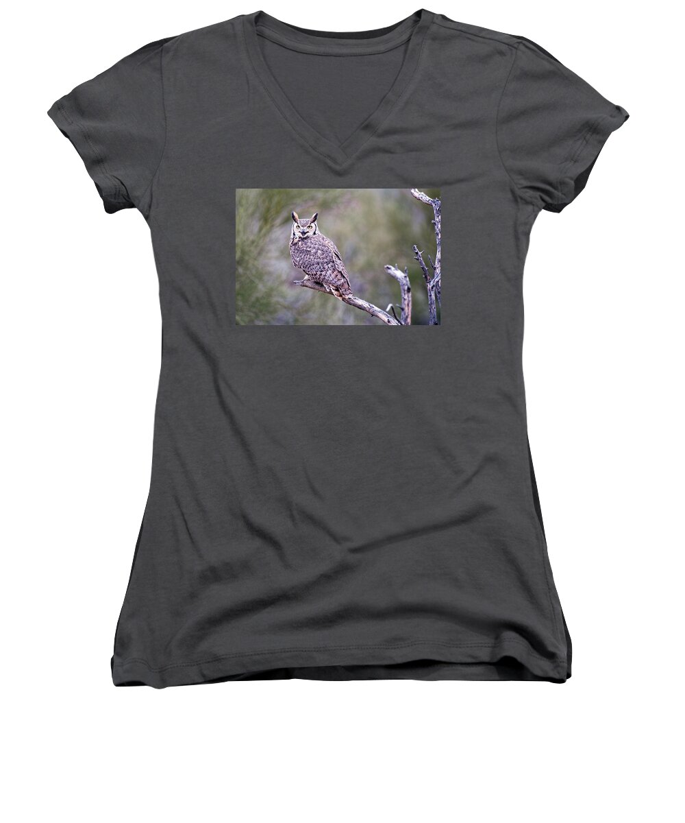 Arizona Women's V-Neck featuring the photograph Great Horned Owl by Dan McManus