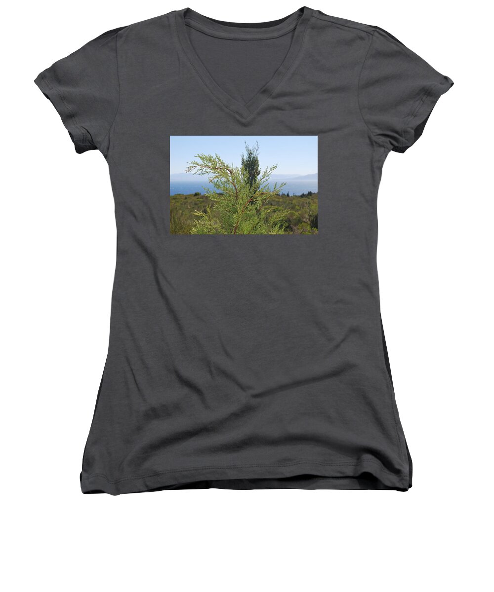 Tamarisk Women's V-Neck featuring the photograph Green Tamarisk 1 by George Katechis