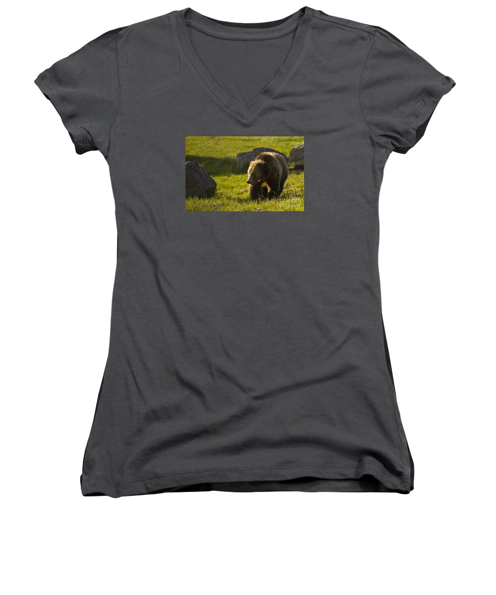 Bear Women's V-Neck featuring the photograph Grizzly Bear-Signed-#4545 by J L Woody Wooden