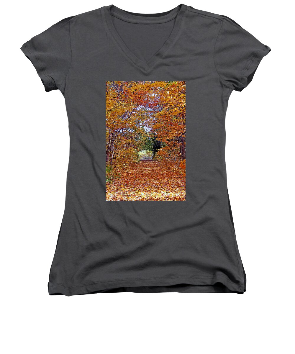 Hawthorn Hollow Women's V-Neck featuring the photograph Hawthorn Hollow by Kay Novy