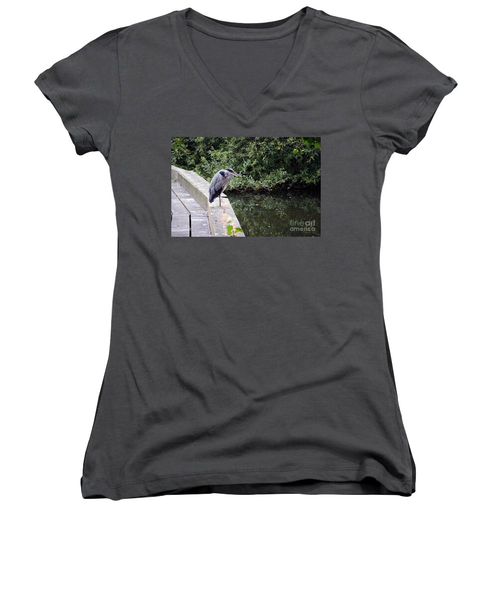 Heron Women's V-Neck featuring the photograph Heron of Buckingham by Laurel Best