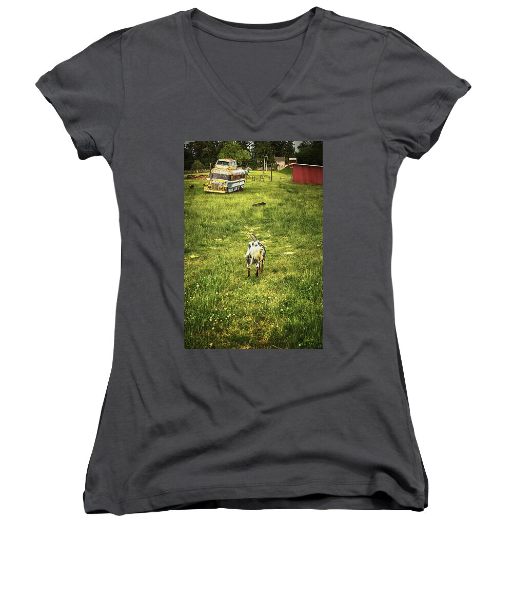 Goat Women's V-Neck featuring the photograph Hey Kids - The Bus is Here by Belinda Greb