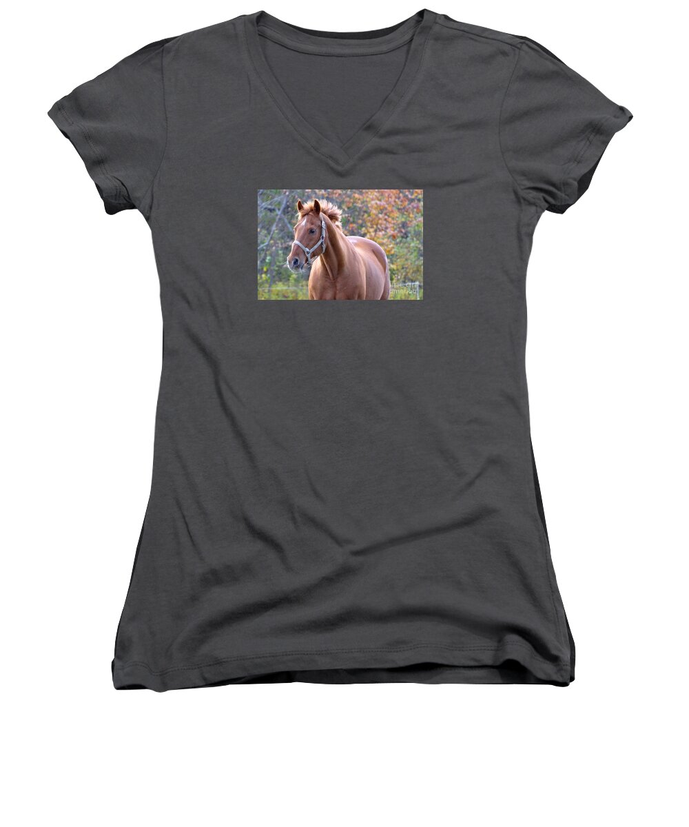 Horse Women's V-Neck featuring the photograph Horse Muscle by Glenn Gordon