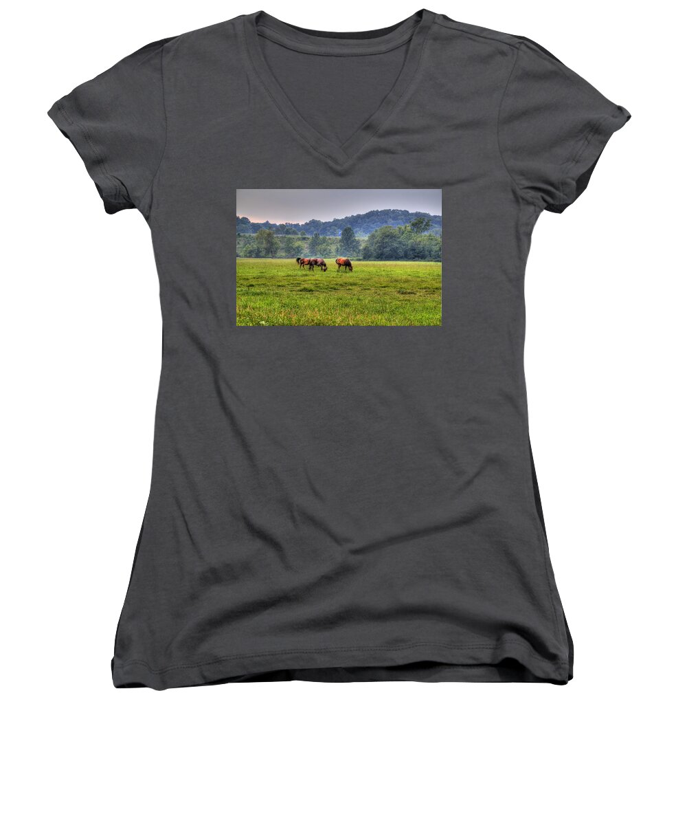 Horse Women's V-Neck featuring the photograph Horses in a Field 2 by Jonny D