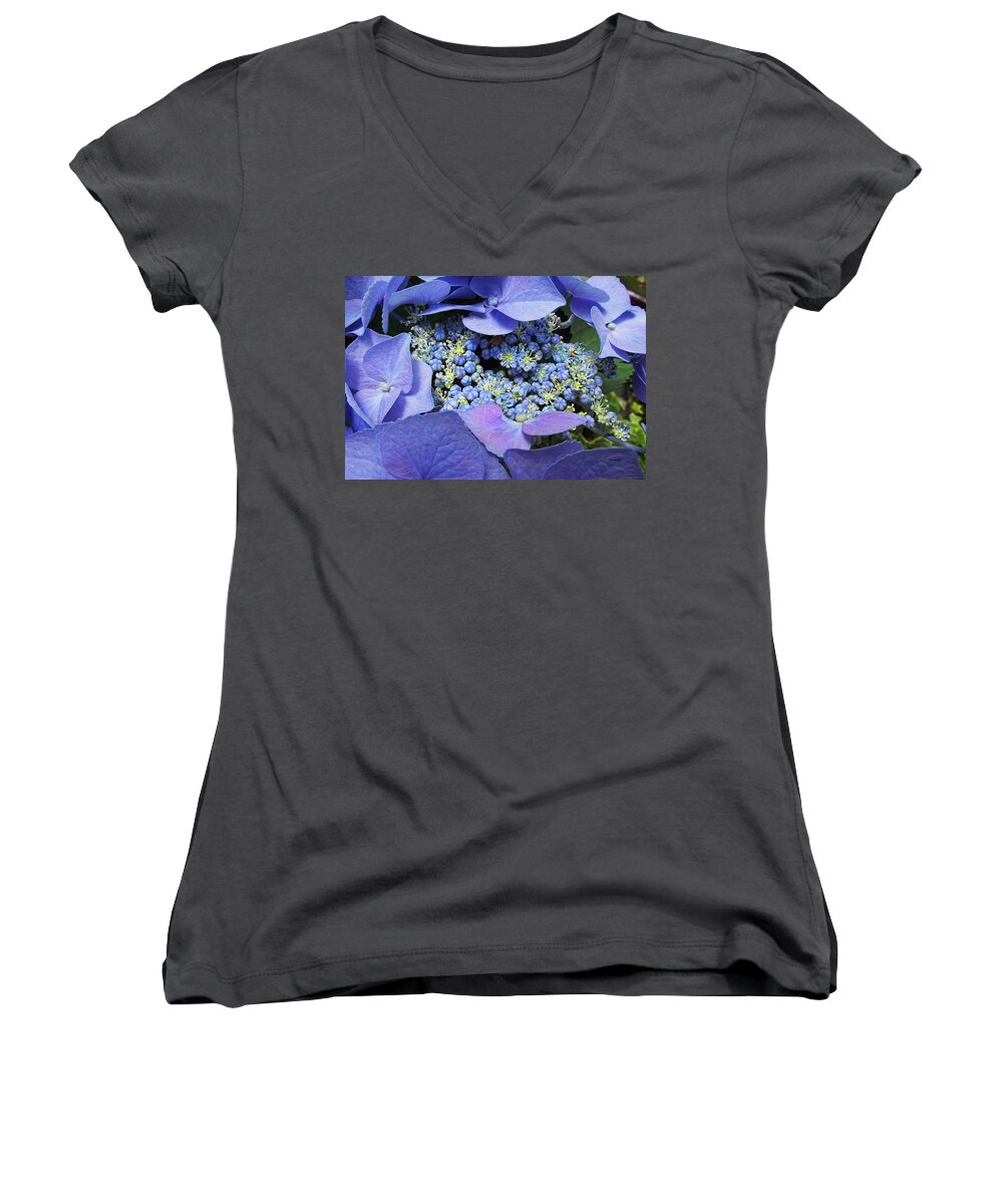 Plants Women's V-Neck featuring the photograph Hydrangea Blossom by Duane McCullough