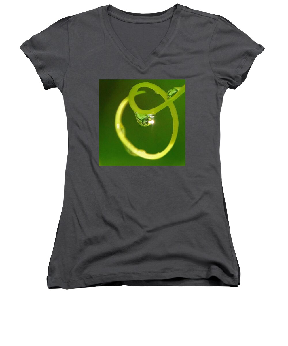 Raindrop Women's V-Neck featuring the photograph I am OZ by Charlotte Schafer