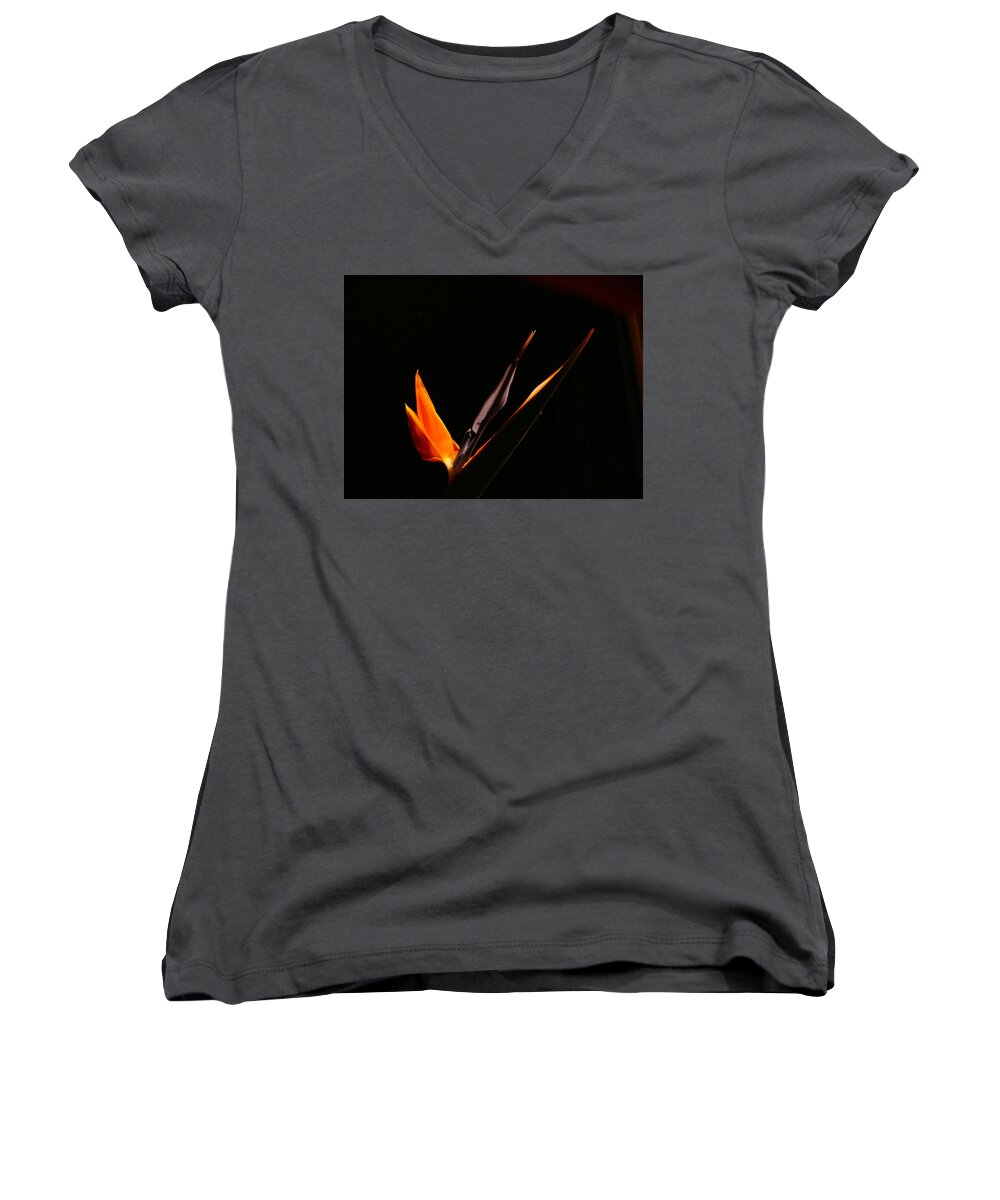 Bird Of Paradise Women's V-Neck featuring the photograph I love you by Evelyn Tambour