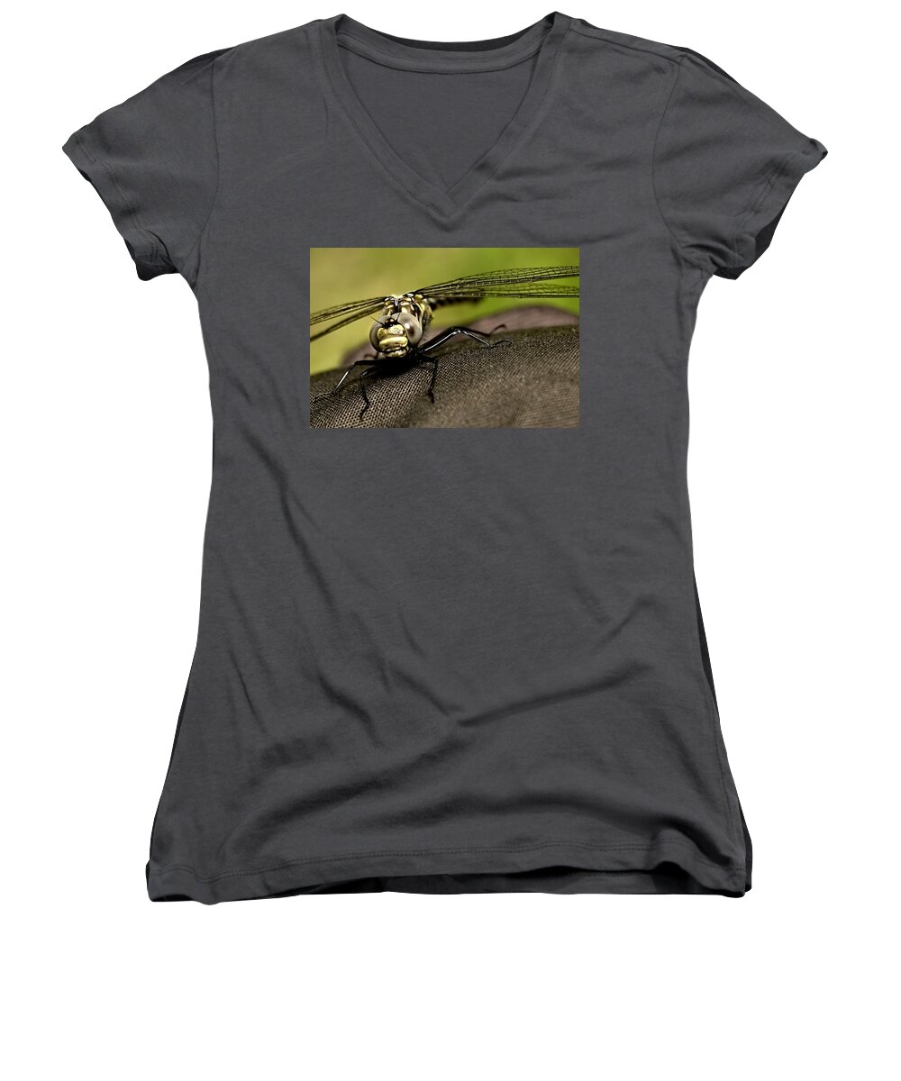 Dragon Fly Women's V-Neck featuring the photograph I see you by Gary Wightman