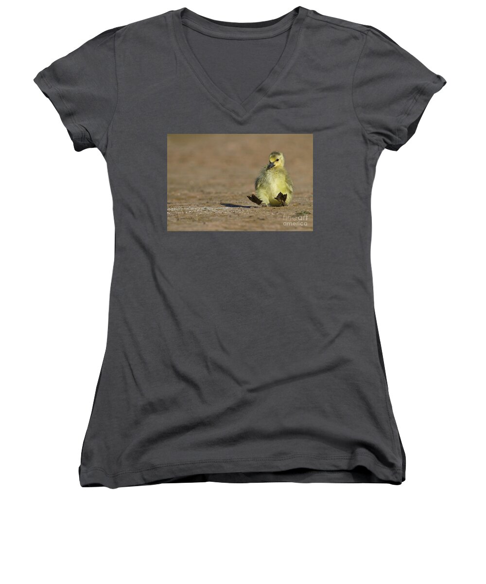 Baby Goose Women's V-Neck featuring the photograph I'm falling by Bryan Keil
