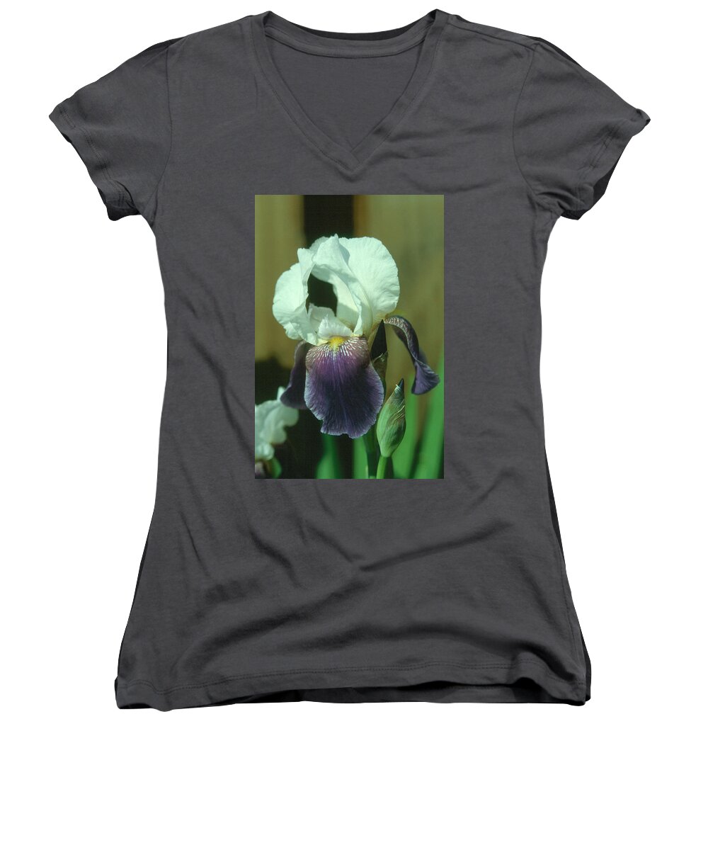 Flower Women's V-Neck featuring the photograph Iris 3 by Andy Shomock