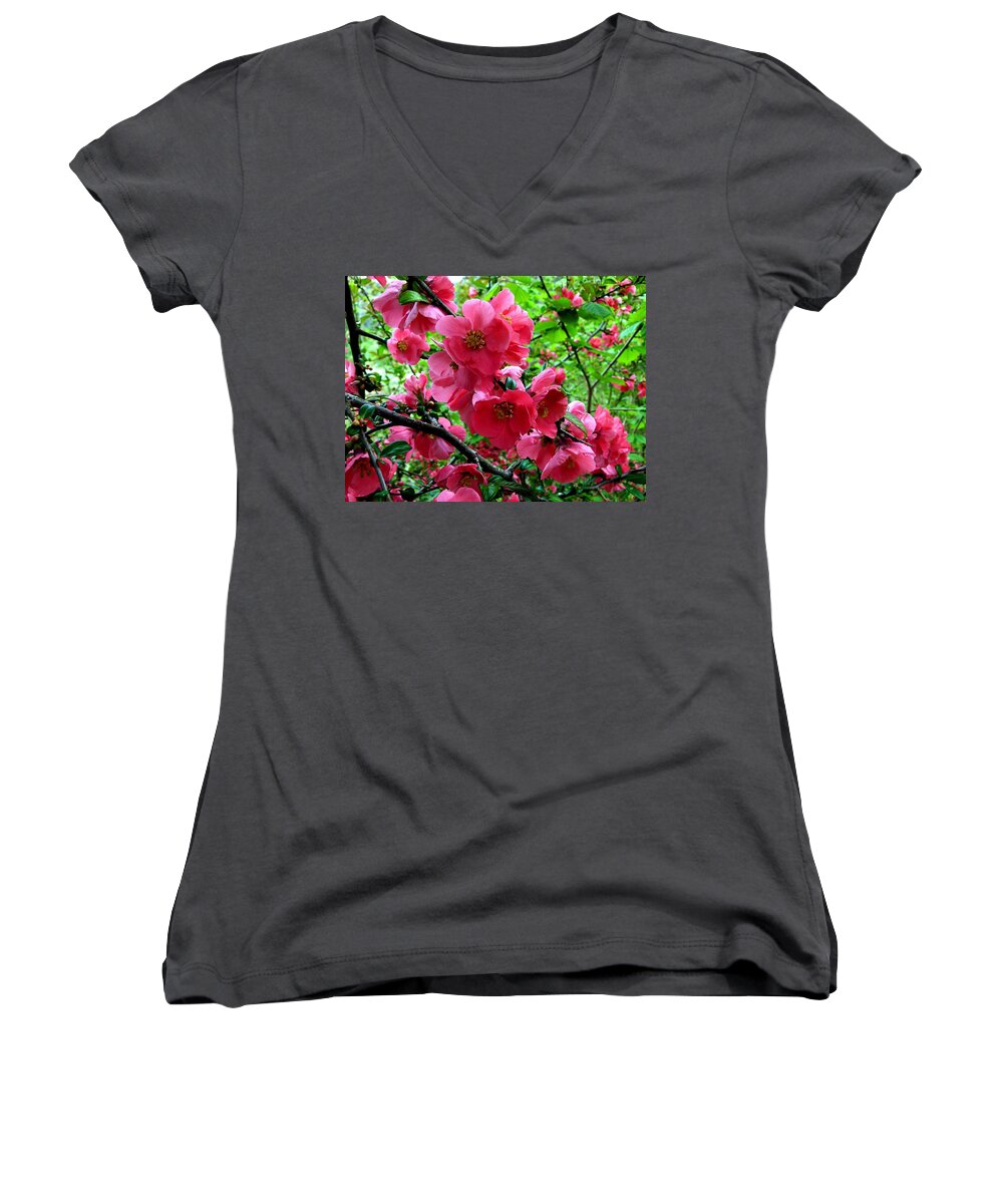 Japonica Blossoms Women's V-Neck featuring the photograph Japonica Blossoms by Will Borden