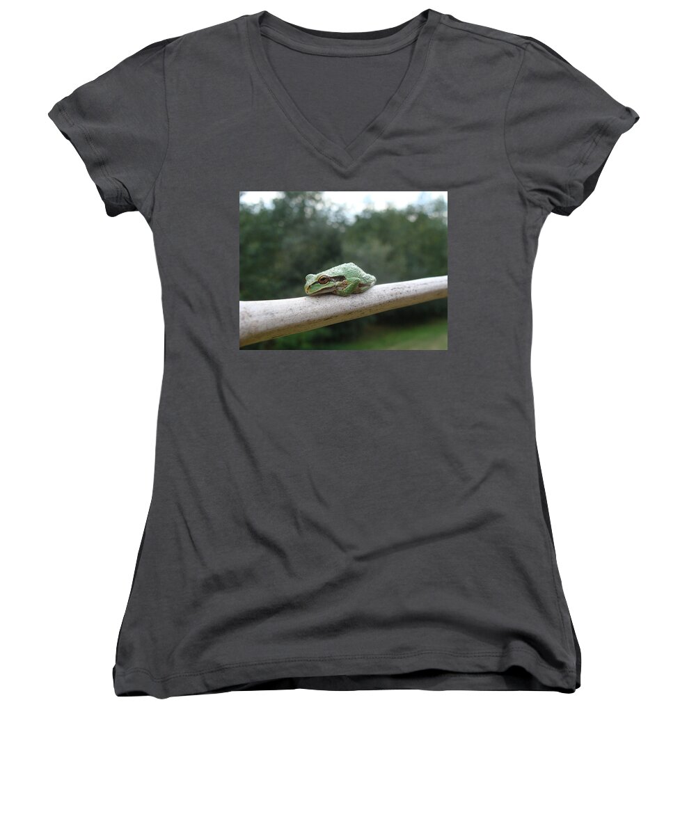 Frog Women's V-Neck featuring the photograph Just Chillin' by Cheryl Hoyle