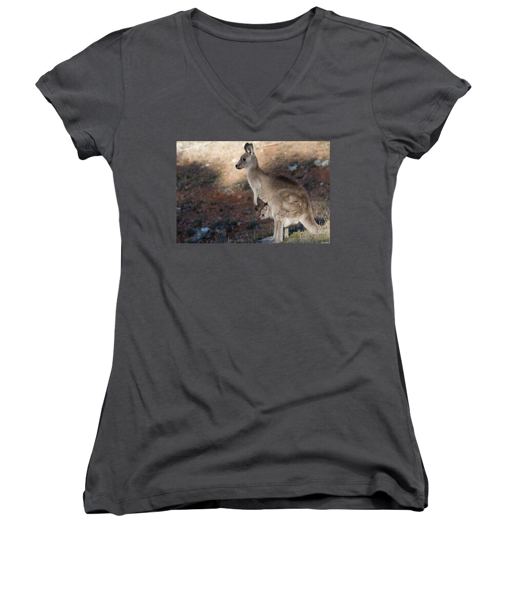 Australia Women's V-Neck featuring the photograph Kangaroo and joey by Steven Ralser