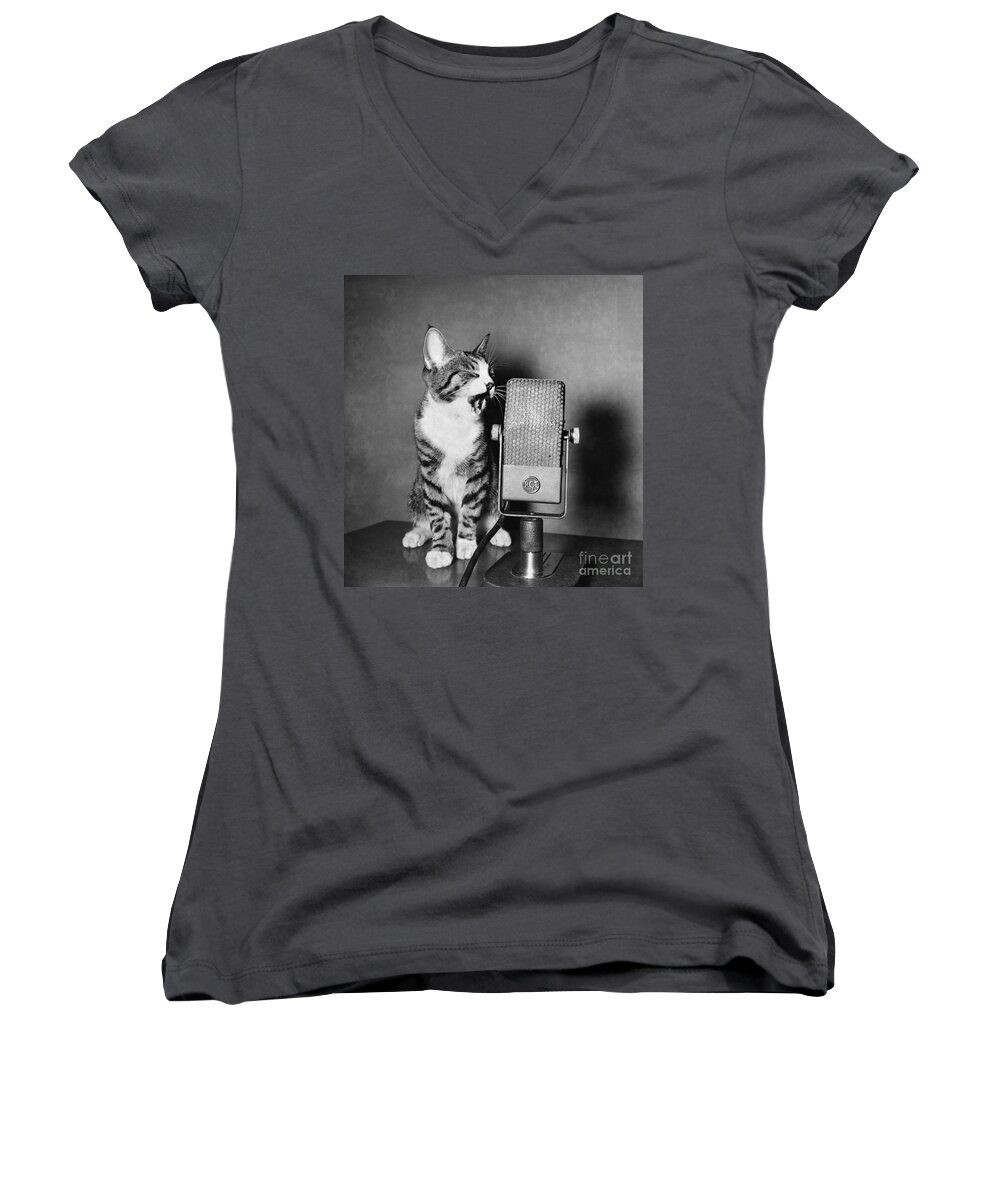 Animal Women's V-Neck featuring the photograph Kitten on the Radio by Syd Greenberg