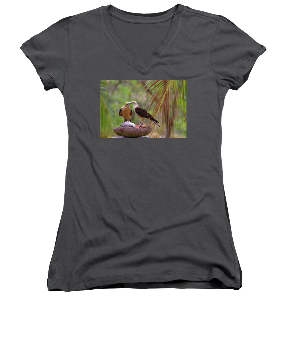 Love Women's V-Neck featuring the mixed media Life Mates by Alicia Kent
